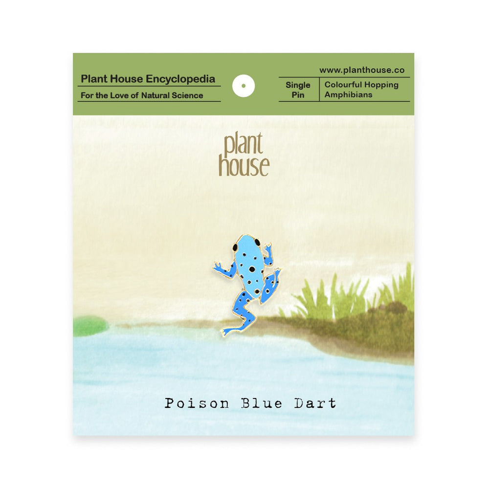 Poison Blue Dart - planthouse.co