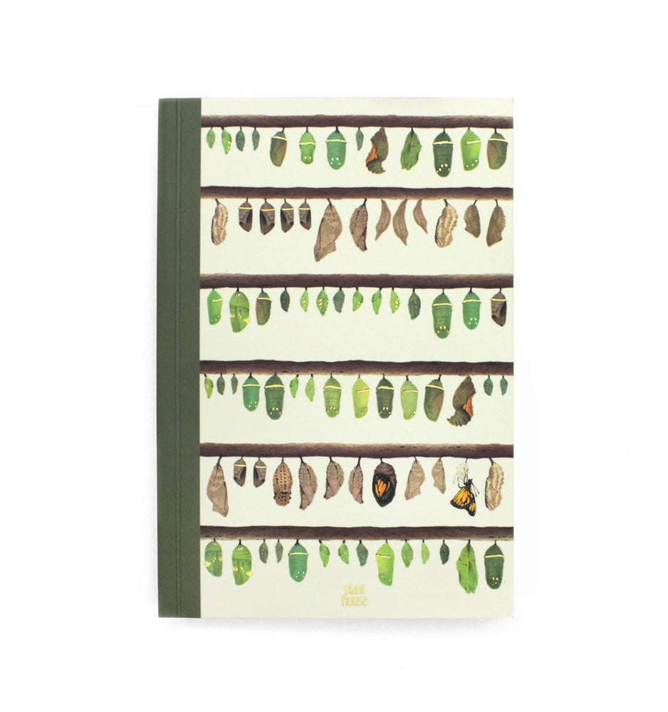 Chrysalis