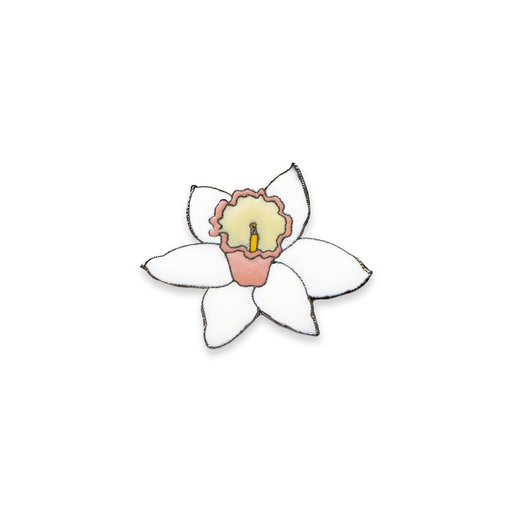 
                
                    Load image into Gallery viewer, Large Cupped Daffodil - planthouse.co
                
            