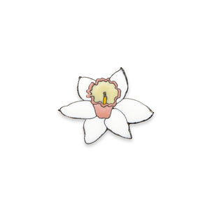 
                
                    Load image into Gallery viewer, Large Cupped Daffodil - planthouse.co
                
            