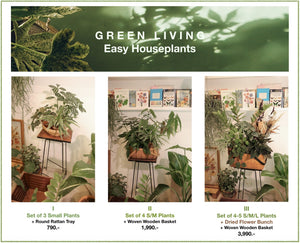 Plant Basket
