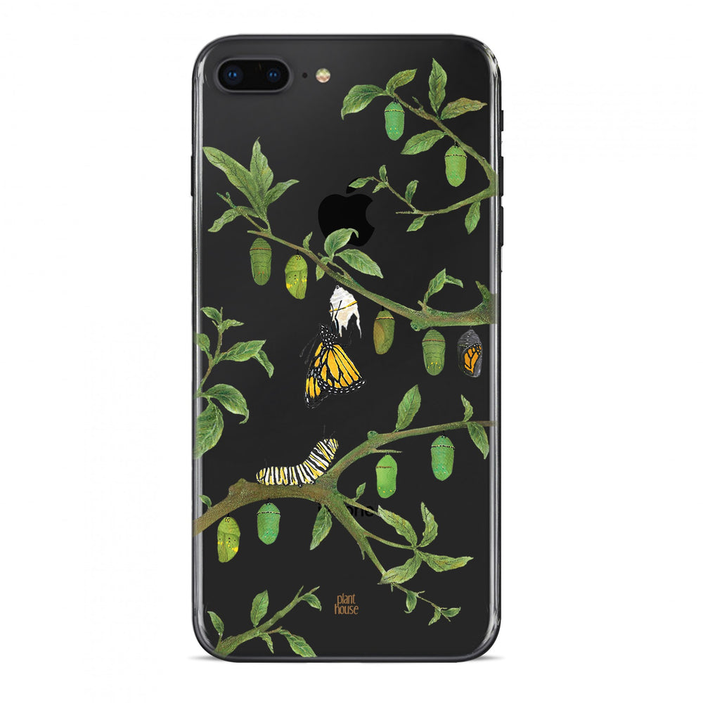 Chrysalis - planthouse.co