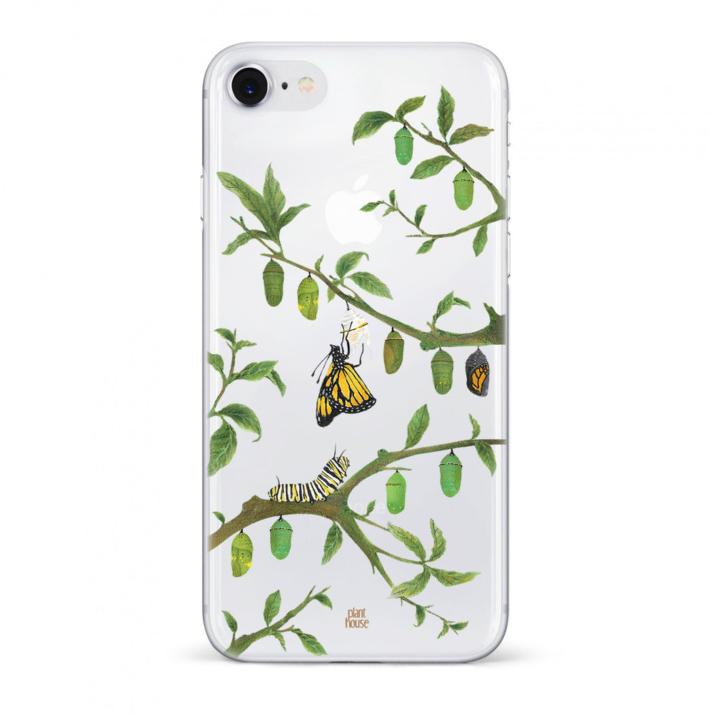Chrysalis - planthouse.co
