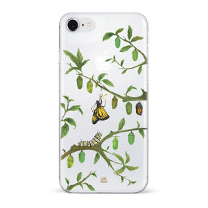 Chrysalis - planthouse.co