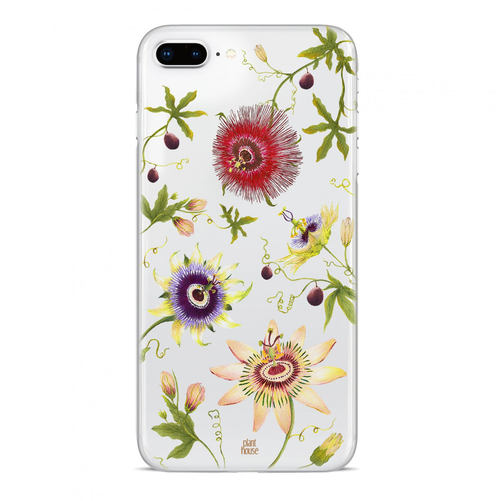 Passiflora - planthouse.co
