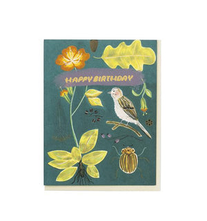 Natural World Specimens Birthday