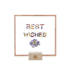 Best Wishes