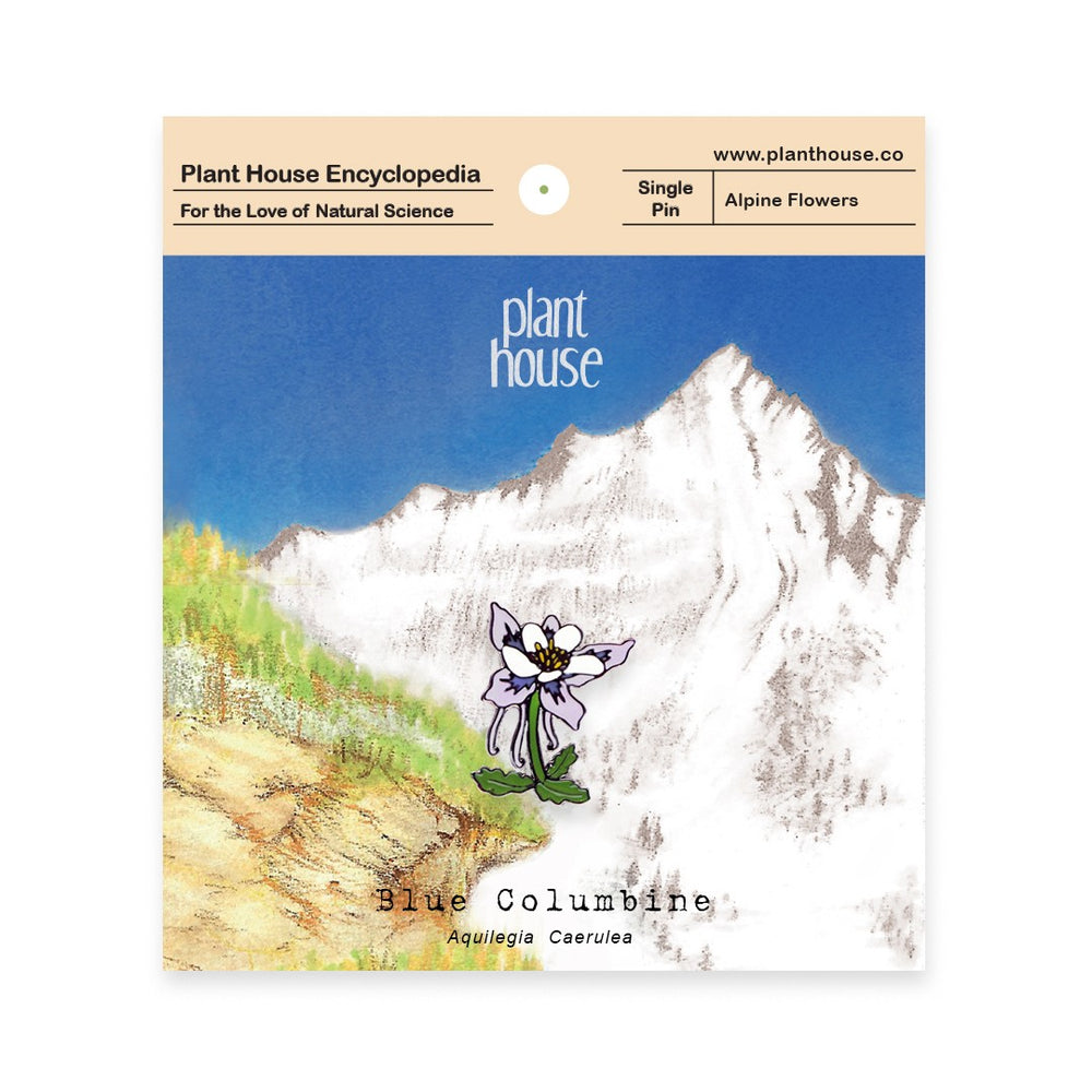 Blue Columbine - planthouse.co