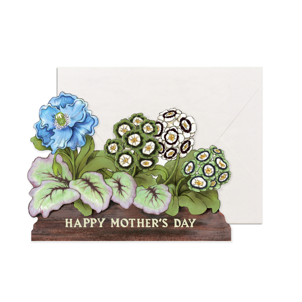 Mother's Love is Blooming - planthouse.co