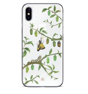 Chrysalis - planthouse.co