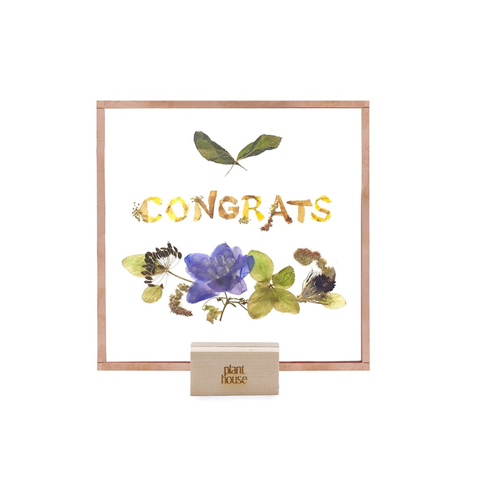 Congrats