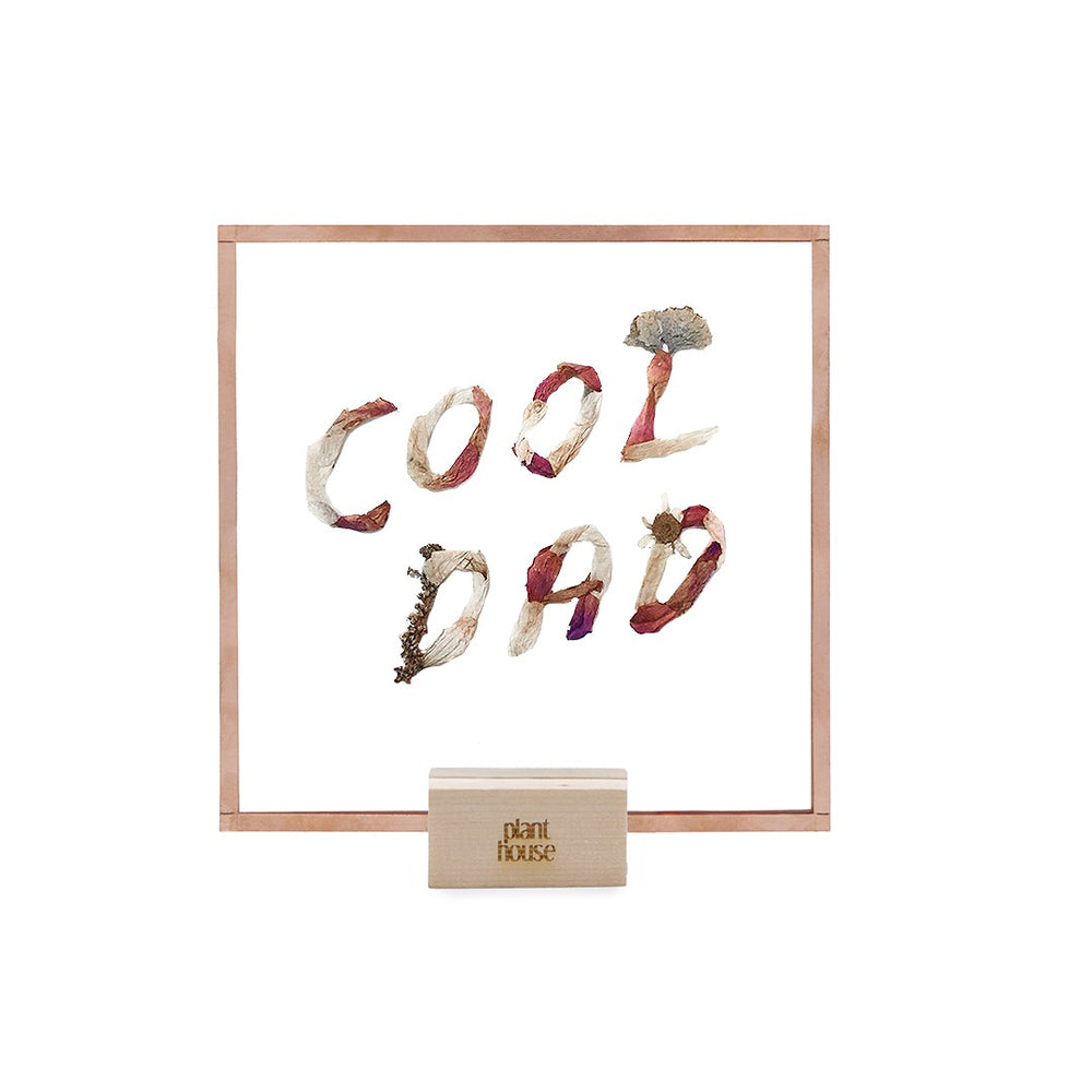 Cool Dad