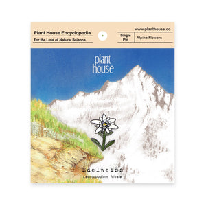 Edelweiss - planthouse.co