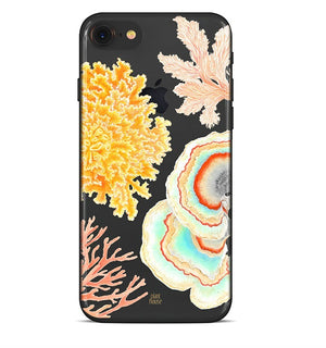 Fungi & Lichen - planthouse.co
