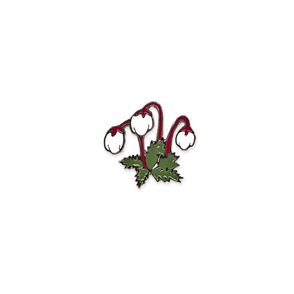 Moss Bell Heather - planthouse.co
