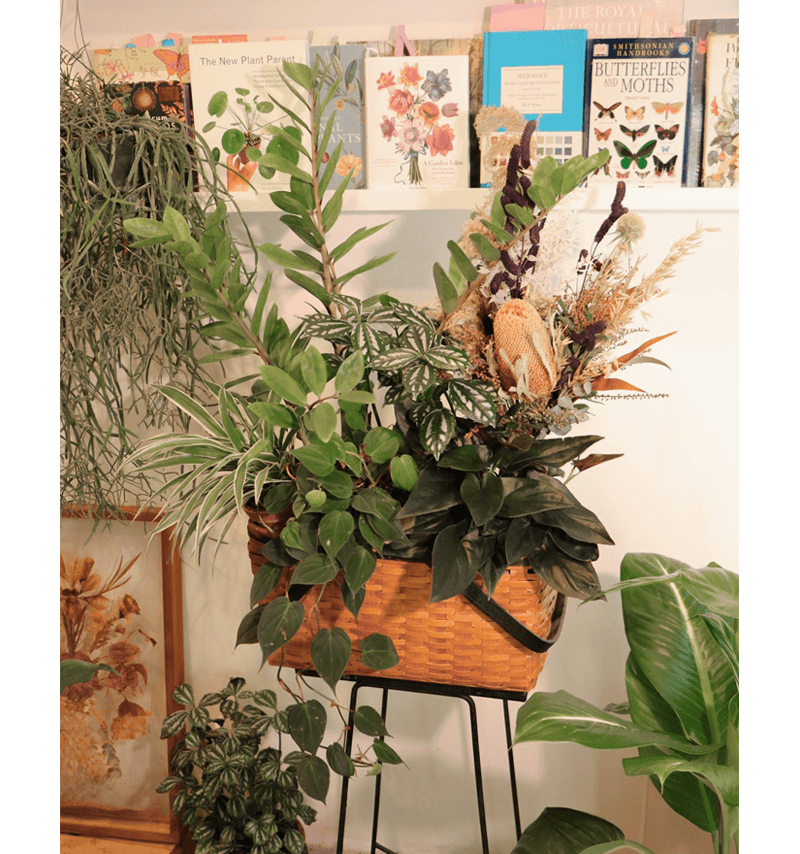 Plant Basket