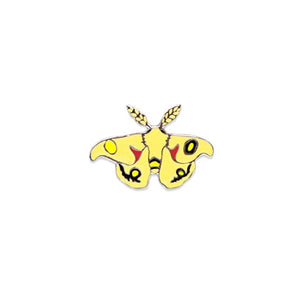 Polyphemus Moth