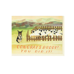 Sheep Dog Congrats