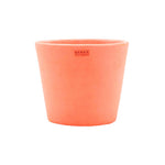 Small Peach Pot